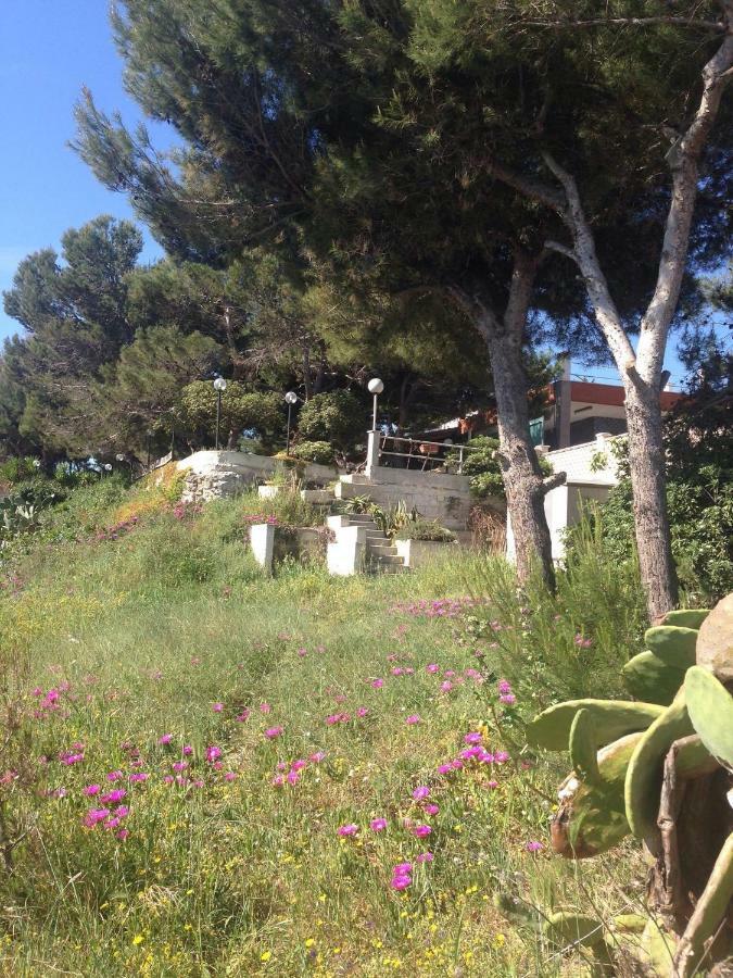 Villa Enzo Monopoli Kültér fotó