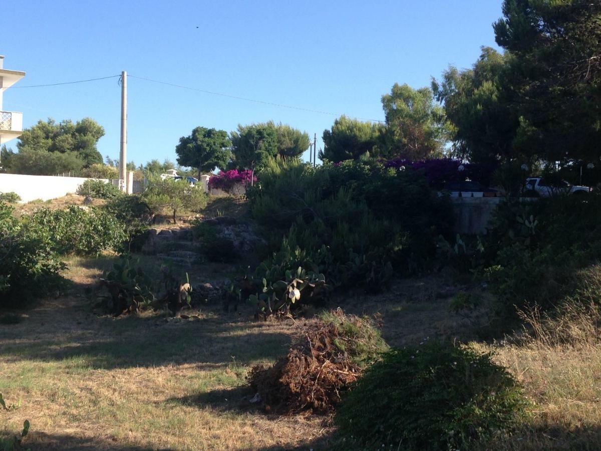 Villa Enzo Monopoli Kültér fotó